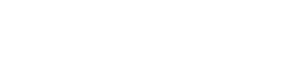 FLY Racing